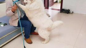 德云女孩爆料事件视频,揭秘娱乐圈幕后真相